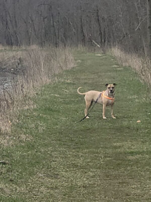 Ottawa Metro Park