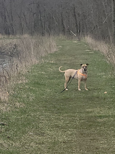 Ottawa Metro Park