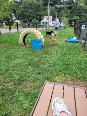 Lisbon Dog Park