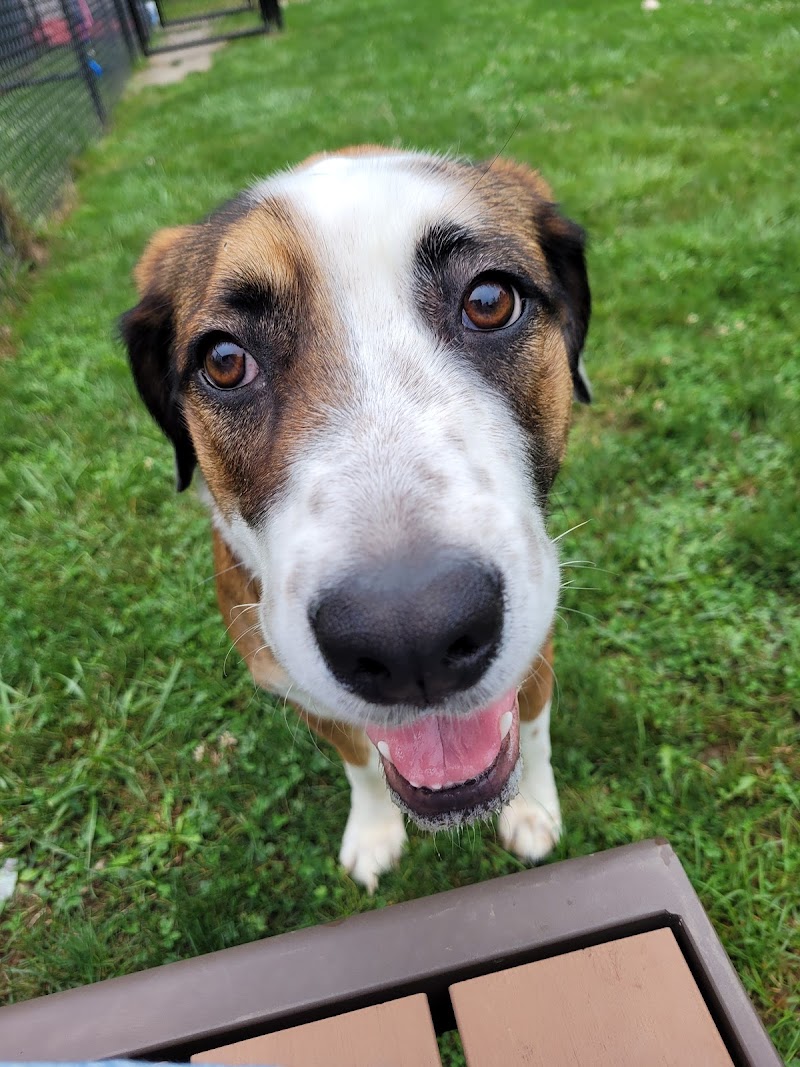 Lisbon Dog Park - Lisbon, OH
