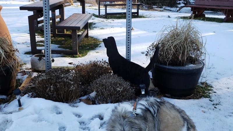 Lisbon Dog Park - Lisbon, OH