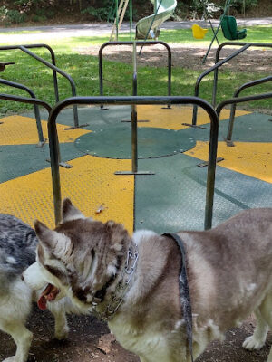 Lodi Community Park