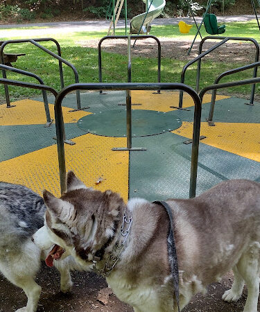 Lodi Community Park