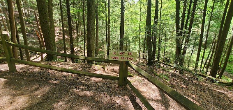21 Horse Cave - Logan, OH