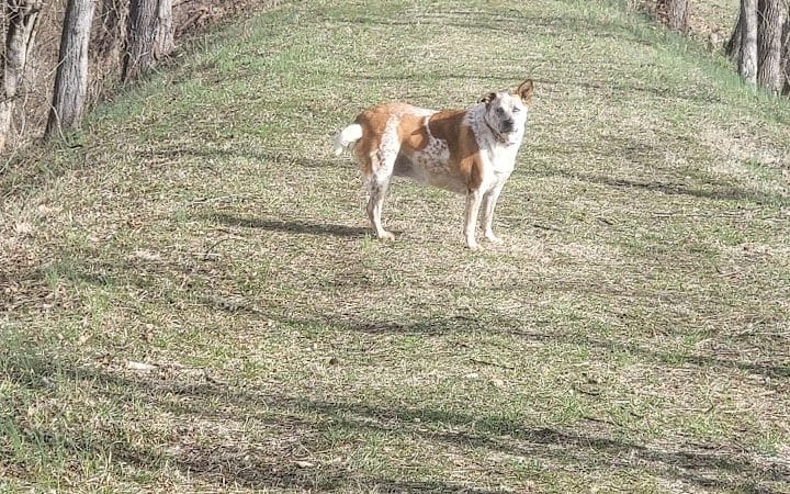 Aqueduct Park Trail - Logan, OH