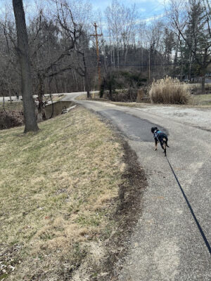Aqueduct Park Trail