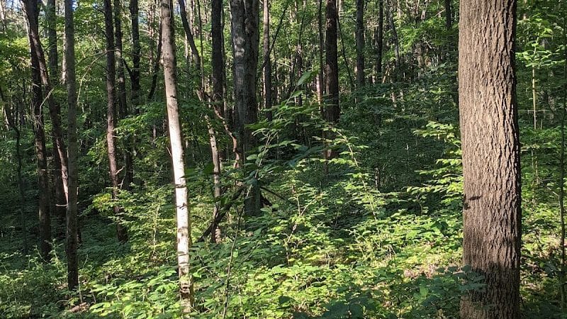 Boch Hollow State Nature Preserve, North Trailhead - Logan, OH