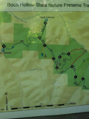 Boch Hollow State Nature Preserve, North Trailhead
