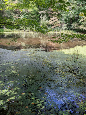 Boch Hollow State Nature Preserve, Office