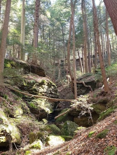 Chapel Cave Trail Head and Rappelling Area Parking - Logan, OH