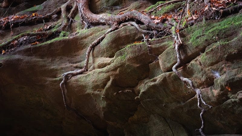 Chapel Cave Trail Head and Rappelling Area Parking - Logan, OH