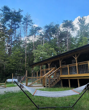 Dog Friendly Hocking Hills