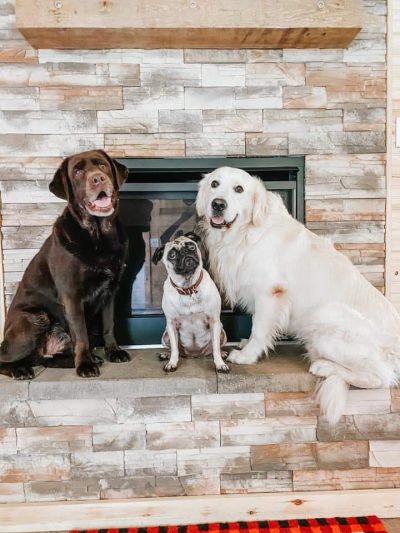 Dog Friendly Hocking Hills - Logan, OH