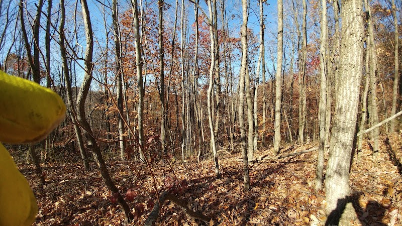 Dorr Run-Sycamore Trailhead - Logan, OH