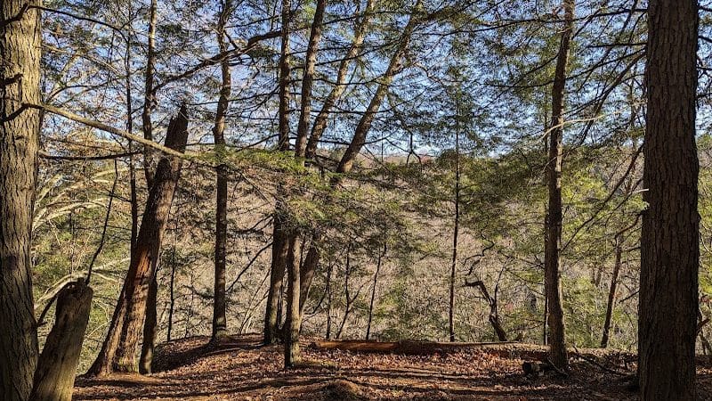 Hemlock Bridge Trail- Hocking Hills State Park - Logan, OH