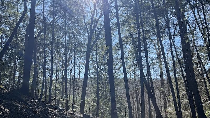 Hemlock Bridge Trail- Hocking Hills State Park - Logan, OH