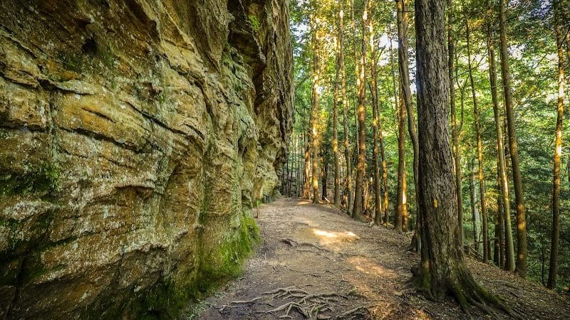 Hemlock Bridge Trail- Hocking Hills State Park - Logan, OH