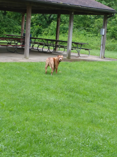 Kachelmacher Park