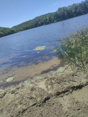 Lake Logan Beach