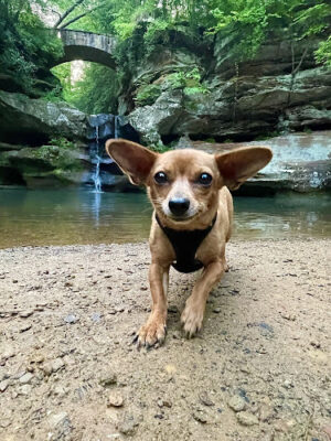 Whispering Cave Trail Head