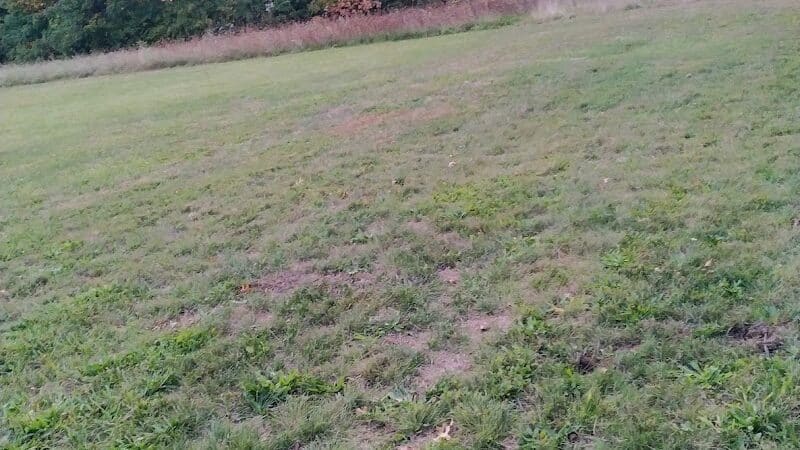 Falbo Park - Lorain, OH