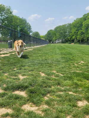 Mary C. Metzger Park