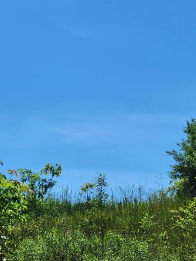 Stark Parks Nickel Plate Trailhead - Louisville, OH