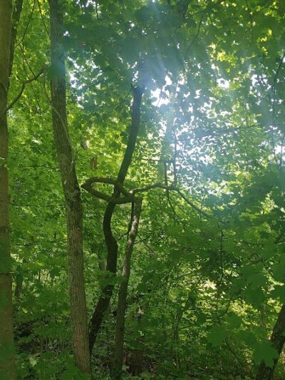 Stark Parks Nickel Plate Trailhead - Louisville, OH