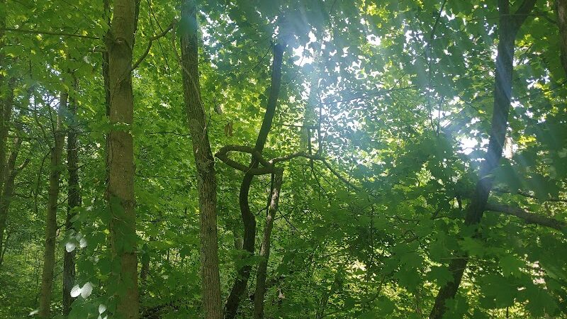 Stark Parks Nickel Plate Trailhead - Louisville, OH