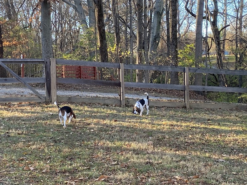 Bark Park - Loveland, OH