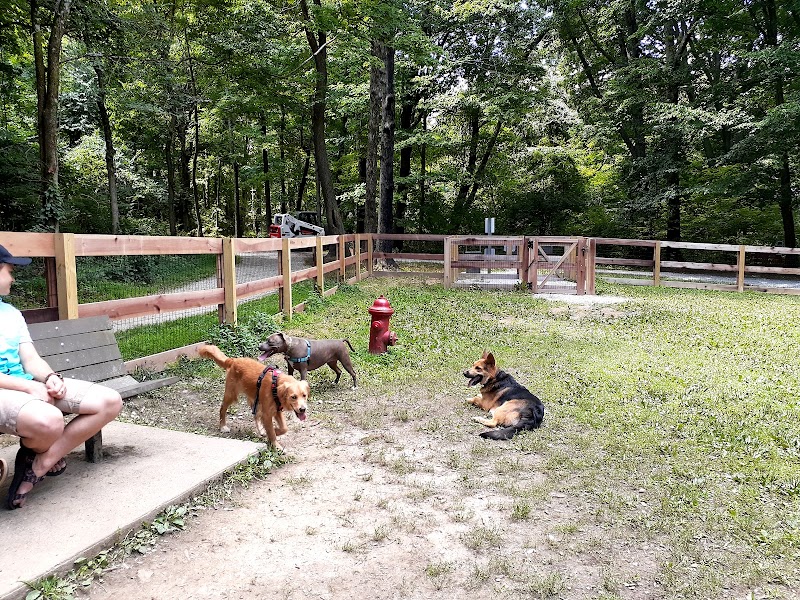Bark Park - Loveland, OH
