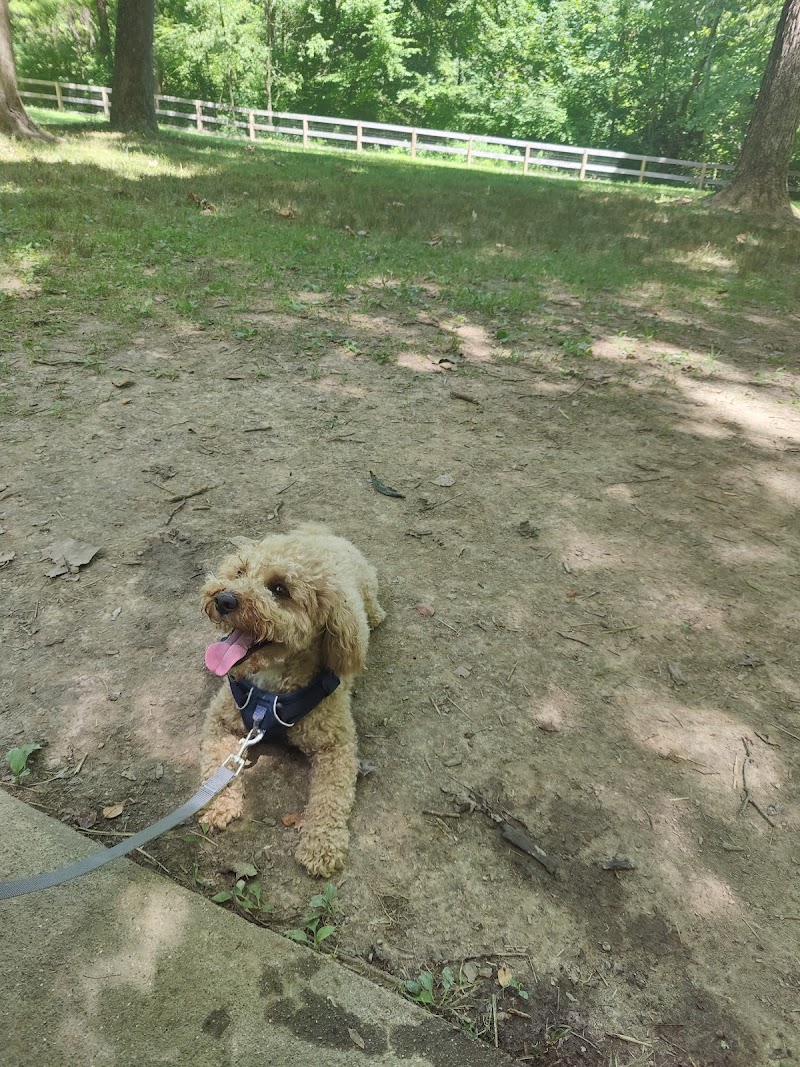 Bark Park - Loveland, OH