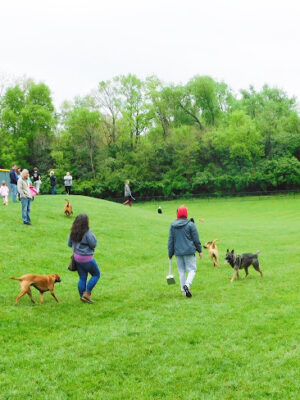 Matt Haverkamp Foundation Dog Park