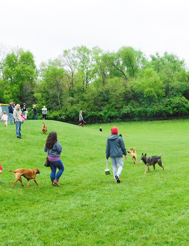 Matt Haverkamp Foundation Dog Park