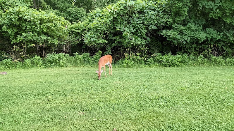 Symmes Township Park - Loveland, OH