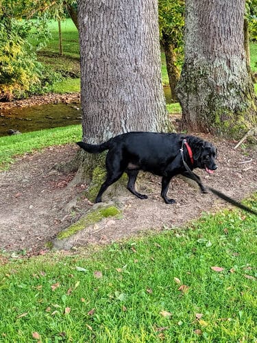 Lucas Park - Lucas, OH