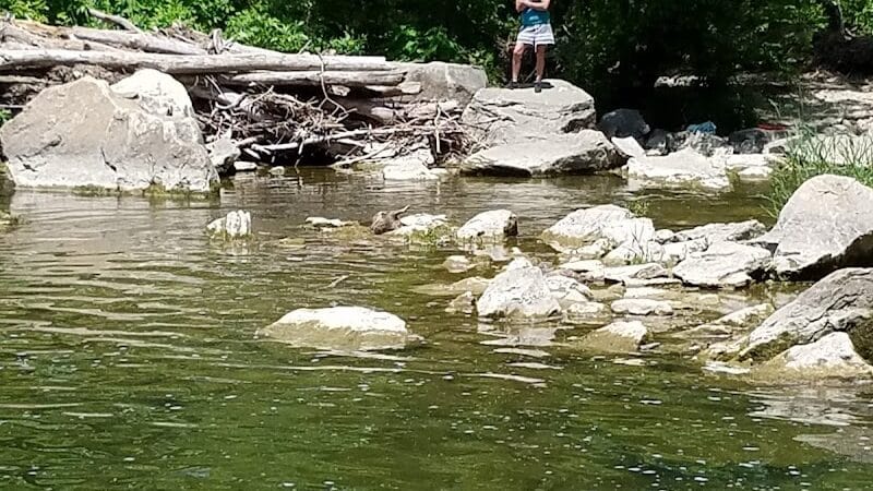 Ludlow Falls - Ludlow Falls, OH