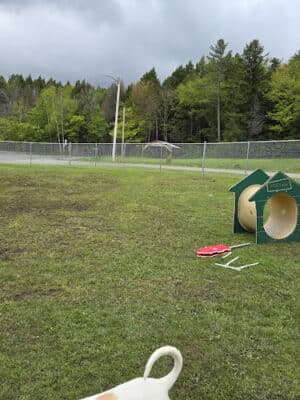 Ludlow Dog Park