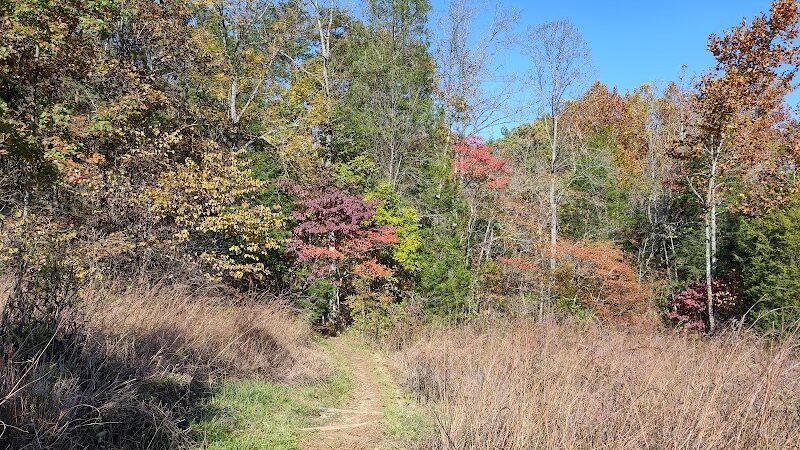 Edge of Appalachia Preserve - Buzzardroost Rock Trailhead - Lynx, OH
