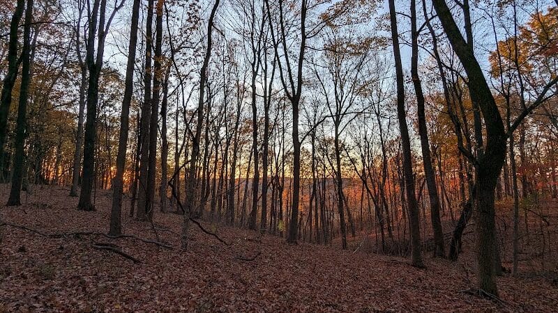 Edge of Appalachia Preserve - Buzzardroost Rock Trailhead - Lynx, OH