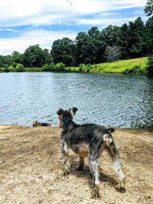 Fry Family Park - Stark Parks