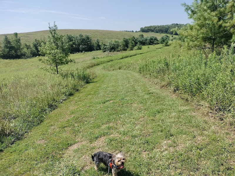 Pike Ridge Park - Magnolia, OH