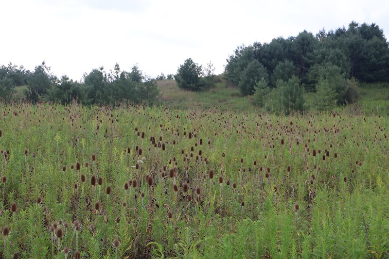 Pike Ridge Park - Magnolia, OH