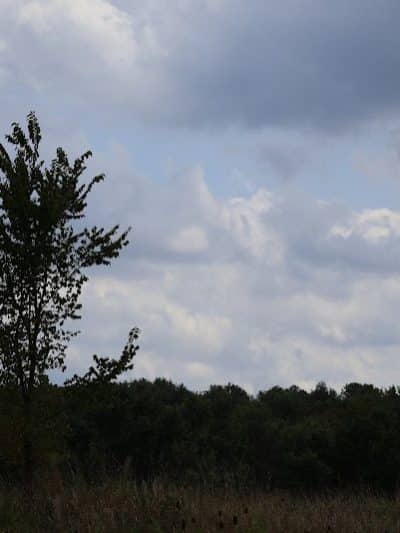 Pike Ridge Park - Magnolia, OH