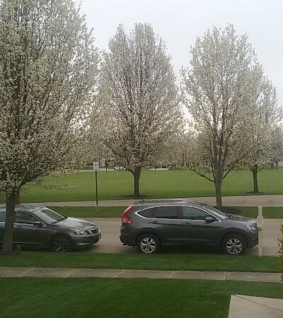 Central Park - Maineville, OH