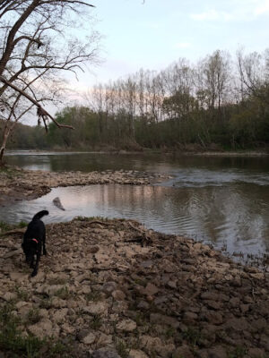 Hamilton Township Park