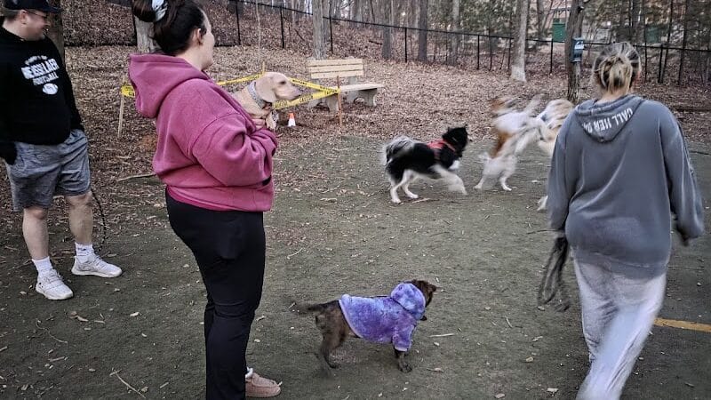 Manchester Dog Park - Manchester, CT