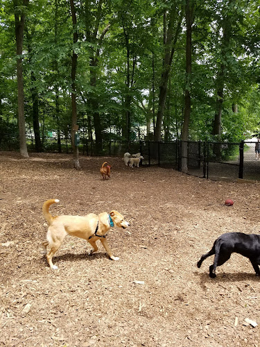 Manchester Dog Park