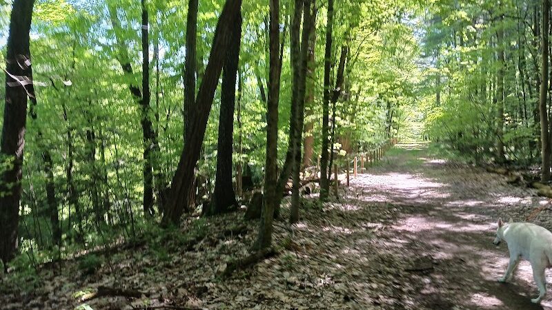 Fleming Falls Preserve - Mansfield, OH