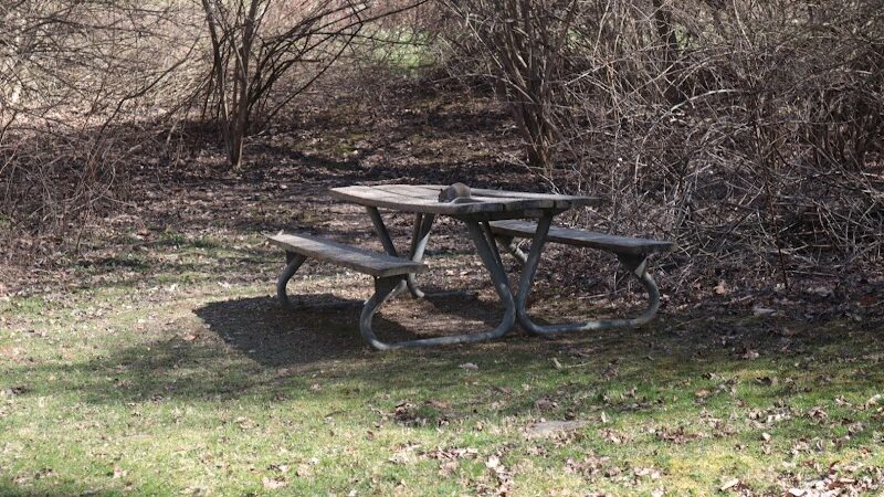 Fox Glen Park - Mansfield, OH